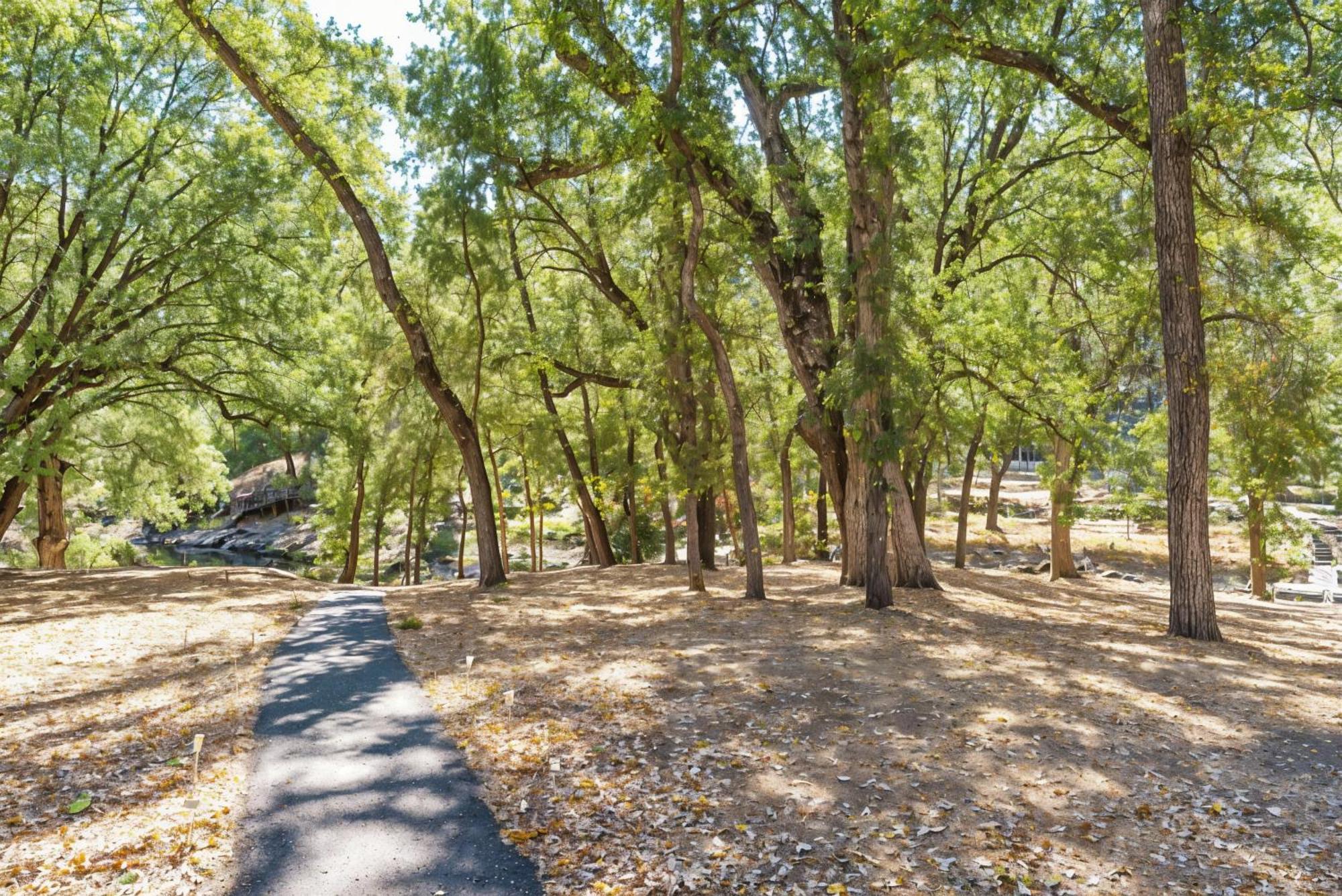 Holiday home Lakefront Cozy On The Cove Groveland